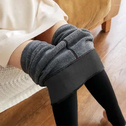 Mulheres meias outono e inverno 320g Cashmere espessado leggings de nylon imitação calça -calça -calça de meia perna nua artefato