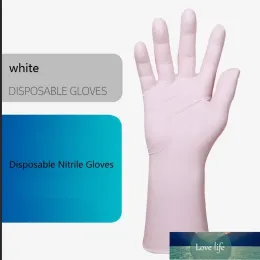 Disposable Latex Gloves Disposable Gloves 50 pairs/pack Protective Nitrile Gloves Factory Salon Household Cleanning Glove Quality