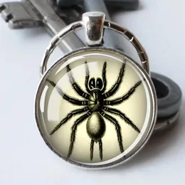 Nyckelringar esspoc unik design spindelbin insekt nyckelring silver färg nyckelhållare naturlig entomolog gåva smycken grossist