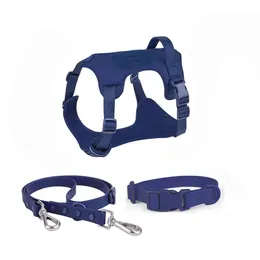 PET HARNESS COLLAR 및 LEASH SET, PVC Dog Leash, 강아지를위한 조절 식 버클, 소형, 중간, 대형 및 초대형 개