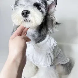 Acessórios de cães de verão Designer roupas de cachorro roupas de pet -roupas de pet -skirt de cachorro respirável P marca fina pequena saia de princesa de cachorro gato