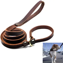 Dog Collars Leashes Large Dog slip lead Leash Real Leather P Chain Collar pet Walking Lead Training Traction Rope For small Medium Large Big Dogs 230512