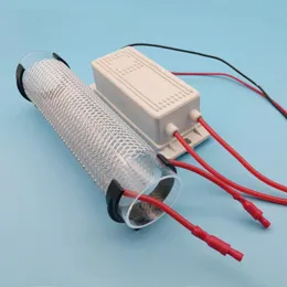 Elettrodomestici 10G Generatore di ozono a tubo di silice per la purificazione dell'aria DC12V AC220V 110V
