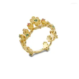 Pierścienie klastra barokowa duża korona 925 Pierścień Srebrny Kobiet Kobiet Kolor Zroku Europejski i amerykański Akt Rola jest smakowy