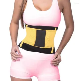Kadın şekillendiricileri şekillendirici kadın vücut zayıflama kemeri kuşatır firma kontrol bel eğitmeni artı boyut M-xl shapewear 3 renk