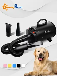 Kurutucular 2800W Güç Saç Kurutucu Köpekler Pet Köpek Kedi Tımar Üfleyici Sıcak Rüzgar Secador Hızlı Blowdryer Küçük Orta Büyük Köpek Kurutucu