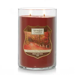 Yankee Candle Balsam Cedar - 22 oz Stor modern borstad lock Tumbler Candle Holiday Seasonal, Woody Scented, 2 -Wick Soy Wax Blend med 75