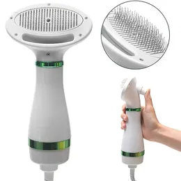 Albums 2in1 Portable Pet Dog Dryer Dog Hair Dryer and Comb Brush Pet Grooming Dryer Cat Hair Comb Dog Fur Blower Low Noise Temprature