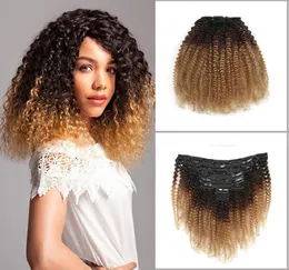 Clip Curly Hair Extension Clip em cabelos curiosos afro 3 tons ombre cabelos 1b427 120gpc fábrica integral 4920830