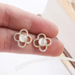 Stud Küpe Küpe Satış Yaprakları Full Zircon Hoop Kadın Moda Basit Muhteşem Takı Sevgililer Hediyesi