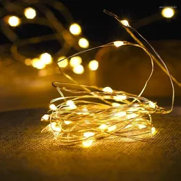 Struny 5pcs 1m 2M LED Copper Wire Light