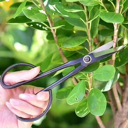 Bonsai verktyg långt handtag sax trädgårdsarbete växt gren shears trädgård beskärningsverktyg bonsai sax