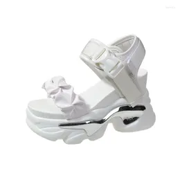 Sandales semelle épaisse papa femmes été 2023 fée Feng Shui diamant haut talon décontracté sport romain chaussures Ins tendance