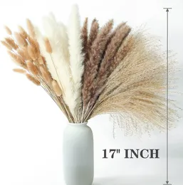 Other Event Party Supplies 100 PCS Dried Pampas Grass Contains Bunny Tails Dried Flowers Reed Grass Bouquet for Wedding Boho Flowers Home Table Decor 230516