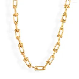 Ras du cou en acier inoxydable 316L collier chaîne pour femmes épais clavicule colliers fête Boho bijoux collier