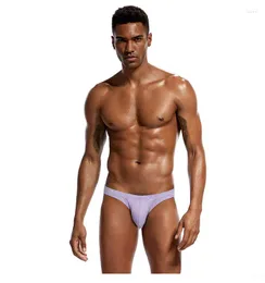 UNDANTANTS 2023 Marka Pamuk Kumaş Cuecas Eşcinsel Erkekler Çıktısı Seksi Erkek Bikini Briuss Panties Calzonsillos Hombre Slips