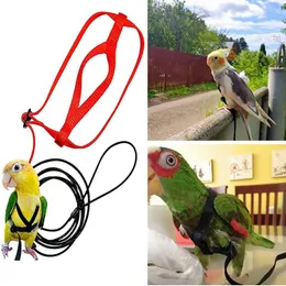 Training Bird Harness Leash Outdoor Flying Traction Straps Band Adjustable AntiBite Training Rope Bird Accessories Pet Supplies