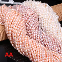 Perlen, natürliche Süßwasserperle, Reisform, weiß, rosa, für Halskette, Armband, Zubehör, Schmuckherstellung, DIY, Größe 4–5 mm