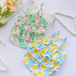 개 의류 층 층 여름 드레스 얇은 선 스크린 주름 장식 귀여운 귀여운 꽃 슬링 치와와 Bichon Poodle