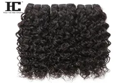 Water Wave Brazilian Human Hair Cleave Bundles 3pcs 100 extensions Human Hair Lolor 8228 Inch Peruvian Malaysian Indian V9597118
