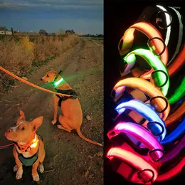 Obroże dla psów USB LED kołnierzy LED Bezpieczeństwo Luminous Pet Light Up Night Nylon Naszyjnik świecący Lads dla psów