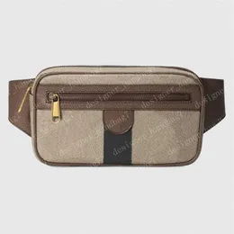 Waist Bag Bumbag Belt Bags Mens Backpack Men Tote Crossbody Purses Messenger Bag Handbag Fashion Wallet Fannypack SIZE 24 14 5 5CM221P