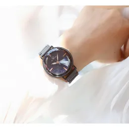 Zegarek BS Starry Sky Dial Watch Sain Watch Full of Diamonds Quartz Fashion Stael Pas