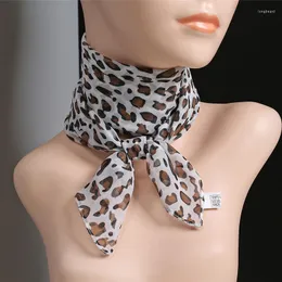 Scarves Fashion 65 65cm Chiffon Polka Wild Leopard Scarf Ladies Head Neck Square Design Georgette Thin Women Wholesale