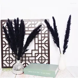 Decorative Flowers High Quality Stylish Rustic Ornament Primary Color Pampas Grass Natural Reed For Home Wedding Room Decor Black White Gra