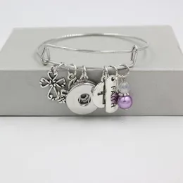 Armband 10st nya ankomst kvinnor armband fred duva tro korsa charm armband gåvor liobonar snap knappar charms pulsera