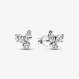 Brincos de cluster de herbário espumante para Pandora 925 Sterling Silver Silver Party Setring Jóias de designer para mulheres Brincho de diamante de cristal com caixa original