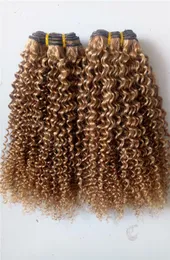 Briazilian Human Virgin Remy Hair Weft Kinky Curl Hair Extensions Dark Blonde 27 Color Hair Weaves100G Bundles2165392