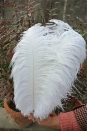 Ostrich Feather Party Decoration Plume Craft Supplies Wedding Table Centerpieces/Web Celebrity Wall Decoration Hat Tillbehör RRA