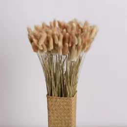 Dekorative Blumen 50 Teile/los Getrocknete Schwanz Gras Pampas Natürliche Pflanzen Bouquet Lagurus Ovatus Hochzeit Hause Ostern Dekoration