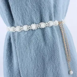 Cintos da moda coreana Chaist Metal Chaist for Women Pearl Female Decoration Acessórios de vestuário de luxo Ceinture femme