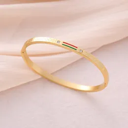 Brazalete de lujo de acero inoxidable ovalado para mujer, regalo rojo y verde, pulsera de cristal dorado, joyería de compromiso de boda