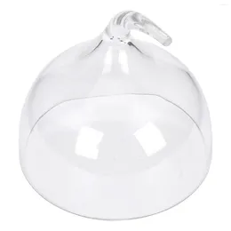 Servis uppsättningar klara tårtplattor Display Cover Acrylic Cupcake Dome Platter Round