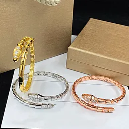 Wysoka wersja v Gold Gold Splated Bieć węża dla kobiet Charm Infinity Diamond Mankiet Mankiety Bracelets Designer Biżuteria Party Wedding Prezenty Akcesoria