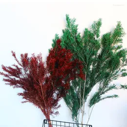 Decorative Flowers 100-120g/50-60cm Melaleuca Real Dried Natural Preserved Flower Holiday Wedding Party Home Decoration Plant Simulation