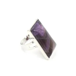 Pierścień Solitaire naturalne kamienie palec palec regulowany siercolor Regulowane leczenie kryształ lapis lazi mężczyźni kobiety biżuteria BT007 DROP DH4IR