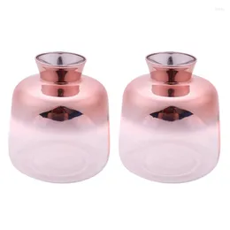 Vase 2x Glass Vase Nordic Electroplated Gold Flower for Home Dray Dry Bottle Bar（9x11cm）