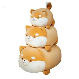 Фаршированные плюшевые животные 35-70 см Cfluffy Corgi Shiba inu Dog Plush Toys Cartoon Squisy Animal Chai Plush Clush Doll Pillow Cushion Kawaii Gifts 230619