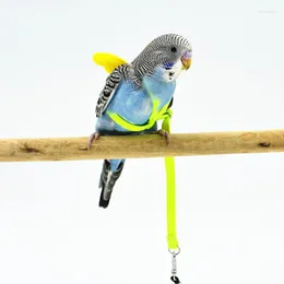 Andra fågelförsörjningar papegoja Flying Rope Sling Traction Elastic Going Out Training Walking Pet Accessories