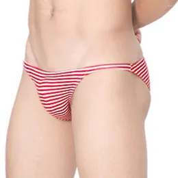 Slip 2023 Sexy hommes coton rayé slips poche sous-vêtements mâle Bikini Sissy culotte Cuecas Masculinas