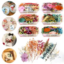 Декоративные цветы смешанные высушенные цветочные сухие растения DIY Образец растения свеча каст -формы подарки аксессуары
