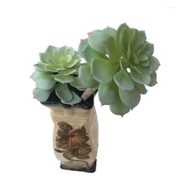 Decorative Flowers NuoNuoWell 1X Artificial Flowers/Plants Succulent Pick 2 Heads 30cm Green Red Gray Available