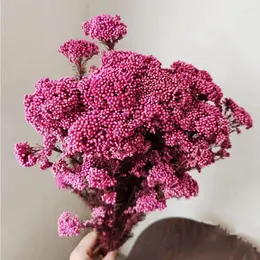 Dekoratif Çiçekler 50g Doğal Darı Meyve Kurutulmuş Çiçek Düğün Hediyeleri Konuklar için Yapay Gelin Buket Açık B