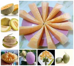 40 PCS Bag Seeds Japan Fruit Cantaloupe melão Bonsai Garden original Mel de orvalho verde Fruta deliciosa Deliciosa Muskmelon Plant6360542