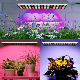 LED -odlingsljus, DC 12V 24V Full Spectrum Grow Lamp med IR UV LED -växtbelysning för inomhusväxter, mikrogrönsaker, kloner, suckulenter, plantor 100W 200W 300W