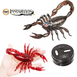 Electric/RC Animals Infrared RC Scorpion Model Toy Animal Present gåva för barn Hög simulering Animal Scorpion Infraröd Remote Control Kids Toys 230525